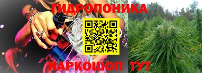 твердый Бийск