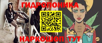 твердый Бийск