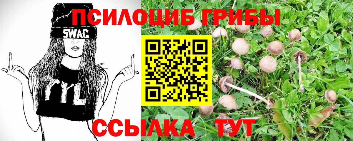 Галлюциногенные грибы Psilocybine cubensis  Псилоцибиновые грибы Psilocybe  Вход с VPN  Когалым 
