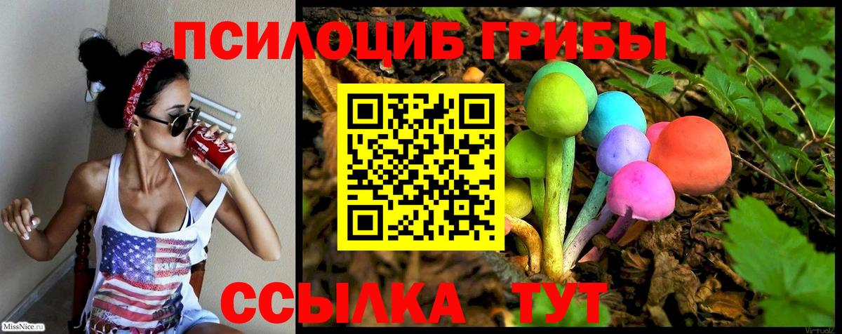 Псилоцибиновые грибы GOLDEN TEACHER Когалым